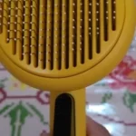 Pumpkin Brush Hair Remover photo review