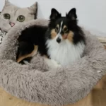 Round Cushion Plush Pet Bed photo review